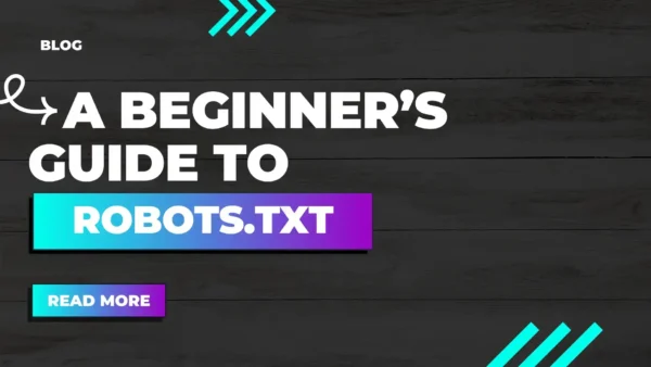 A beginners Guide to Robots.txt file