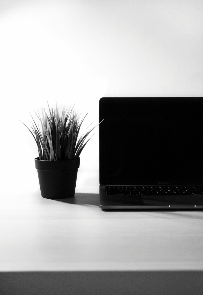 Grow with strong SEO Services from RWSEO