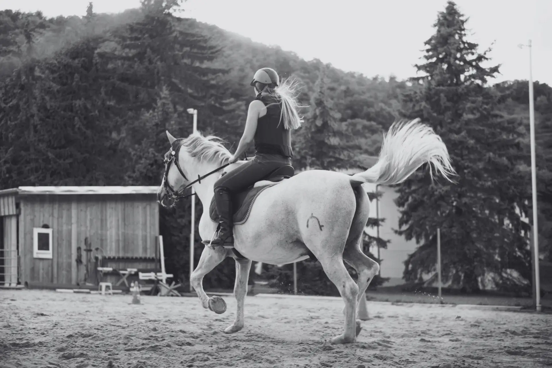 Horse Riding School Case Study