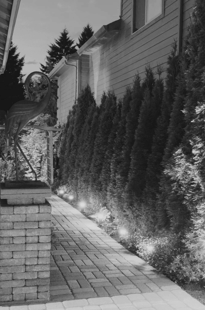 SEO Services for Landscapers