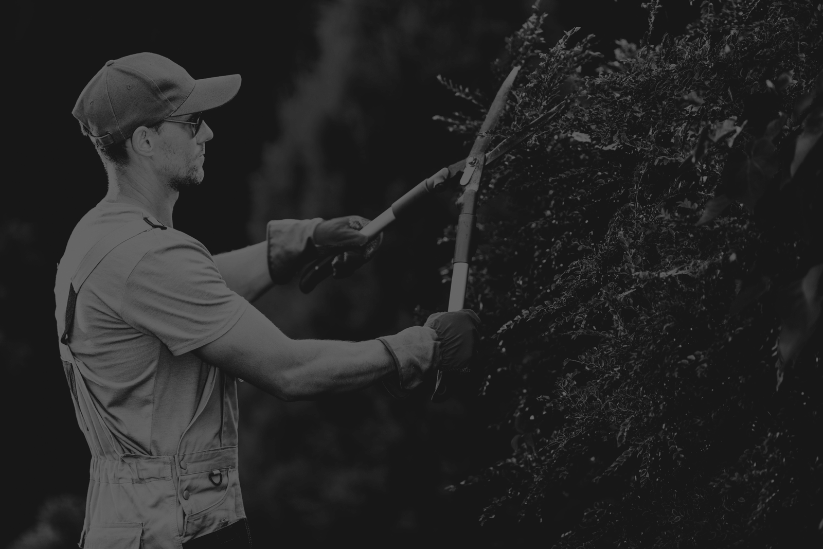 SEO Services For Landscapers & Gardeners